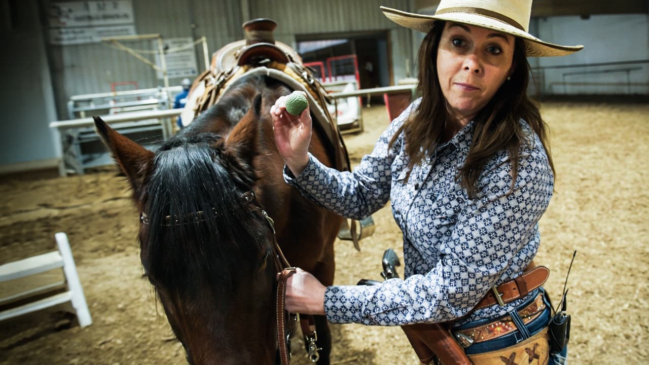 Heartland Country: Cowboy Culture