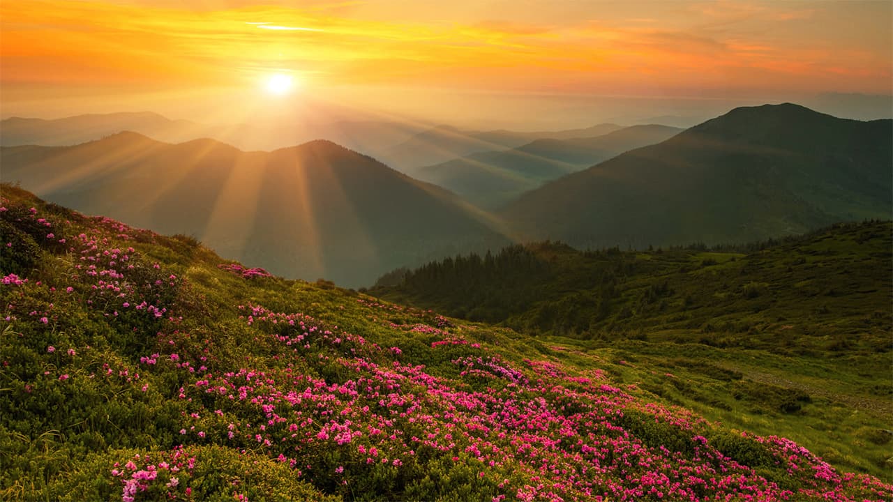 Eyewitness Bible: Eternal Life