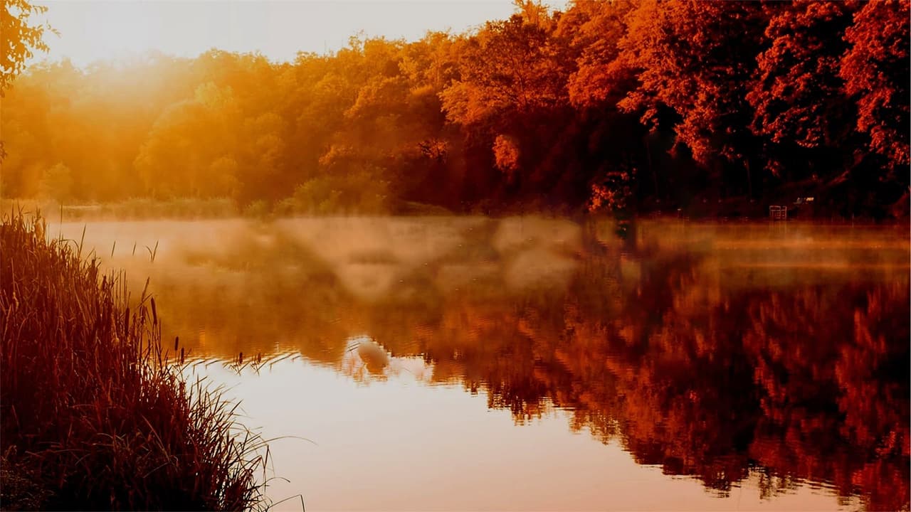 Autumn Escape