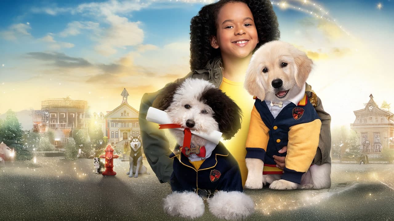 Pup Academy