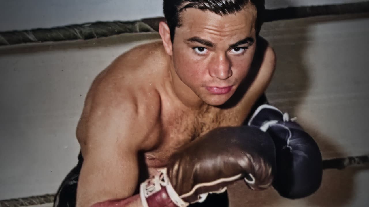 Boxers Remembered