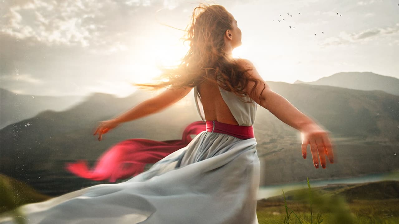 The How the Body Heals Itself Series