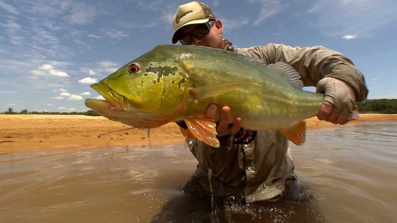 Geobass