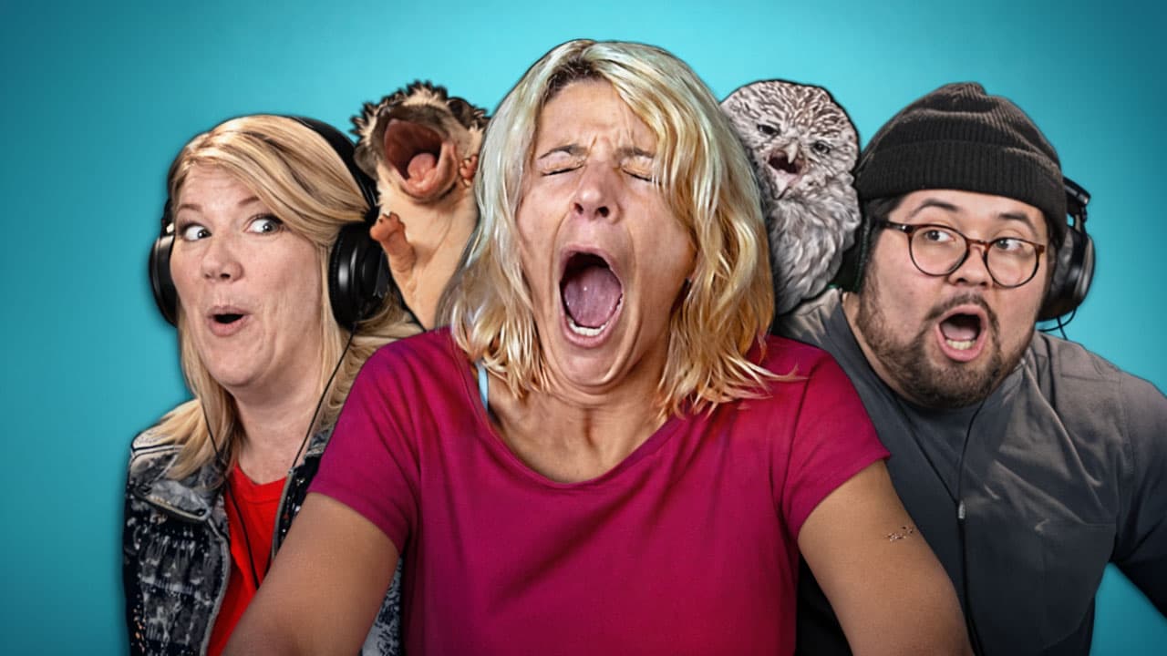 Adults React