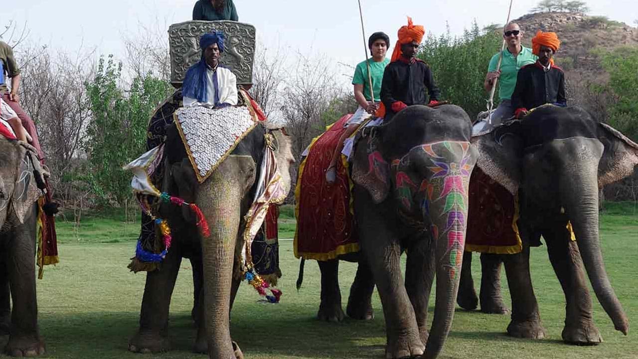 David Rocco's Dolce India