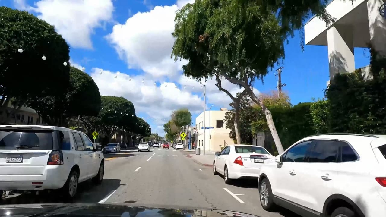 Driving Through Hollywood