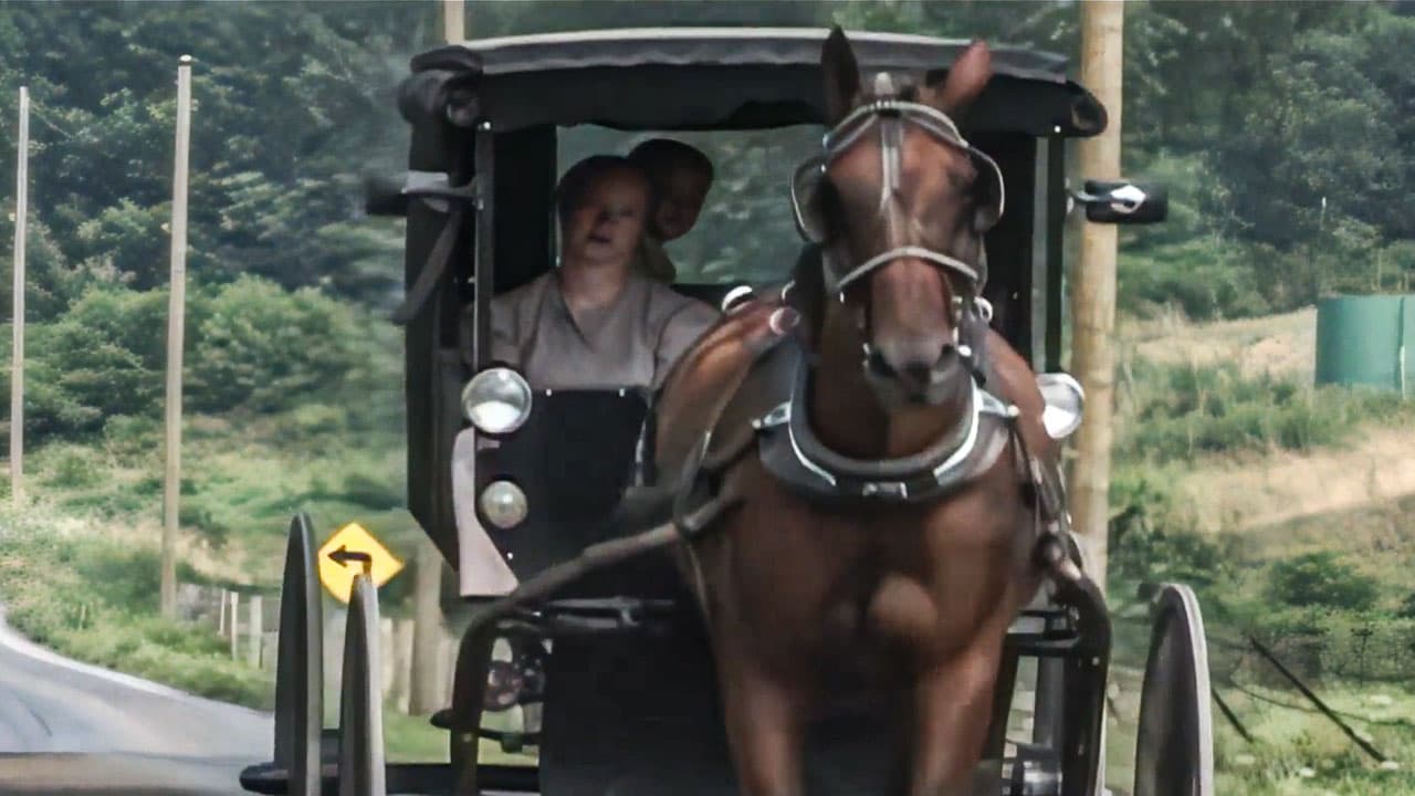 The Amish