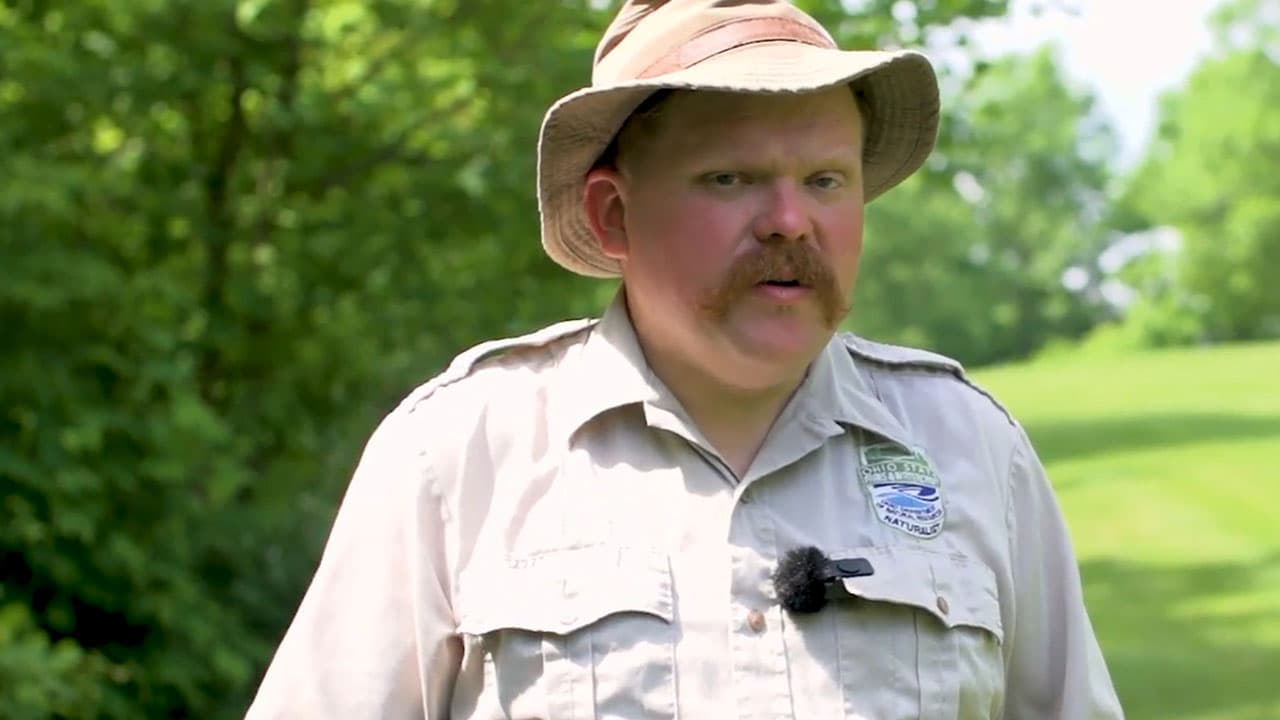 Buckeye Bigfoot