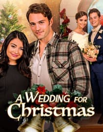 A Wedding for Christmas