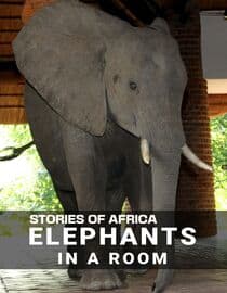 Stories of Africa: Elephants in the Room