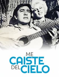 Me caíste del cielo