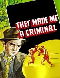They Made Me a Criminal