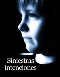 Siniestras intenciones (The Price She Paid)