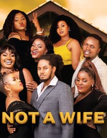 Not a wife