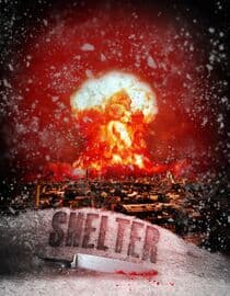 Shelter