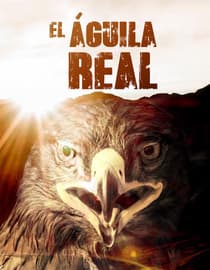 El águila real