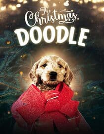 The Christmas Doodle