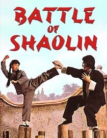 Battle of Shaolin