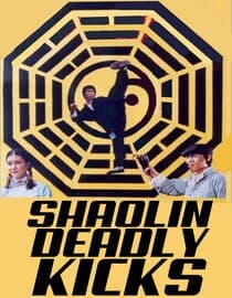 Shaolin Deadly Kicks