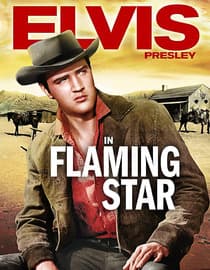 Flaming Star