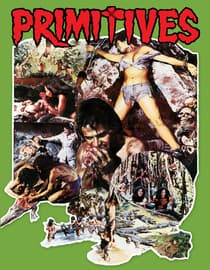 Primitives