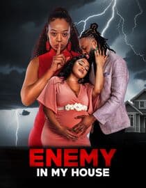 Enemy in My House