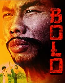 Bolo