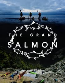 The Grand Salmon