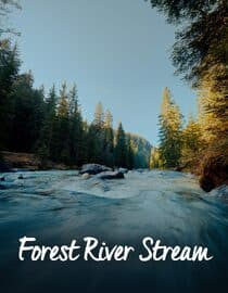 Sleep Sounds: Forest River Stream Ambience for Deep Rest