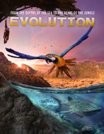 Evolution
