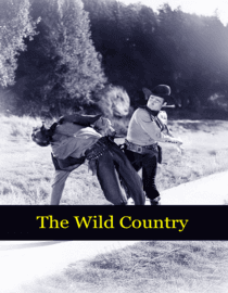 Wild Country