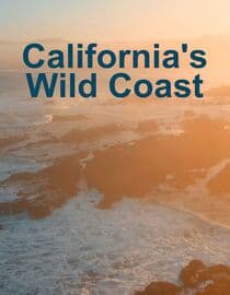 California's Wild Coast