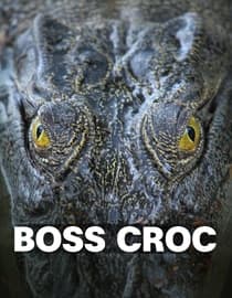 Boss Croc