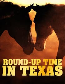Round-Up Time In Texas