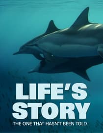 Lifes Story: The One That Hasnt Been Told