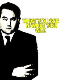 What You See Is What You Get