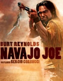 Navajo Joe