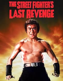 The Street Fighter's Last Revenge
