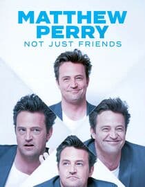 Matthew Perry: Not Just Friends