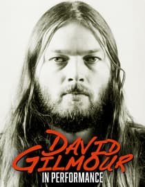 David Gilmour: In Performance