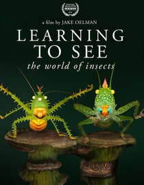 Learning to See