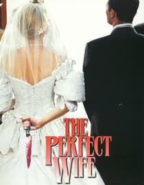 The Perfect Wife