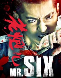 Mr. Six