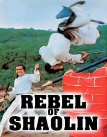 Rebel Of Shaolin