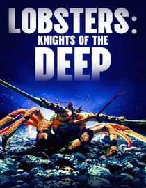 Lobsters: Knights of the Deep