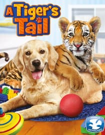 A Tiger's Tail