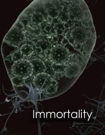 Immortality