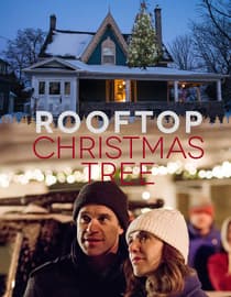 The Rooftop Christmas Tree