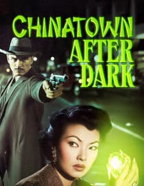 Chinatown After Dark