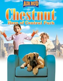 Chestnut